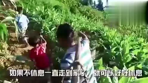贵阳娱乐吃瓜事件视频最新